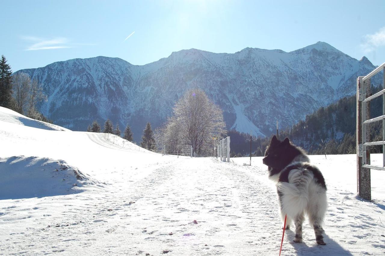 Ferienhaus Alpenglueck Gaicht Ngoại thất bức ảnh